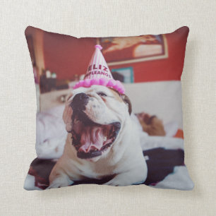 Coussin Bouledogue britannique des images   de Getty