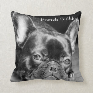 Coussin Bouledogue français
