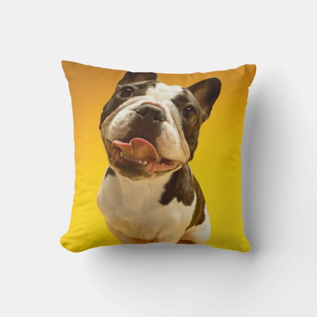 Coussin Bouledogue français recherchant (Recto)