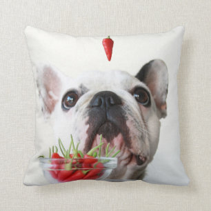 Coussin Bouledogue français regardant un poivron rouge