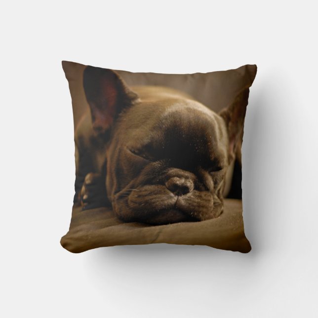 Coussin Bouledogue français somnolent (Recto)