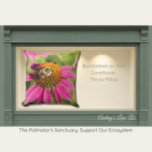 Bourdon sur Echinacea rose