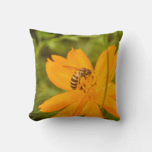 Coussin Bourdon sur un Cosmos sulfureux