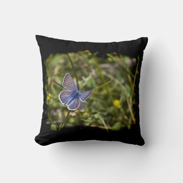 Coussin Bouton bleu Bord noir (Recto)