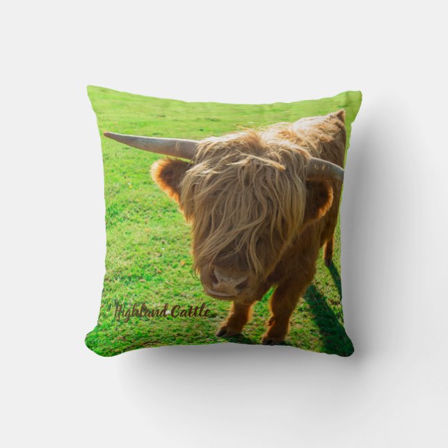 Coussin bovin de Highland bovin pour animal et amoureux de (Recto)