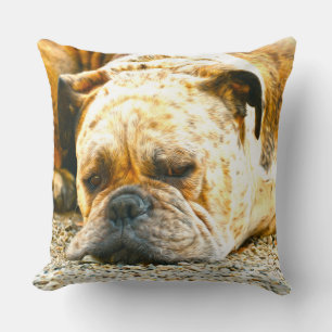 Coussin Boxe Chien Chien Chien Eau Couleur Huile Peinture