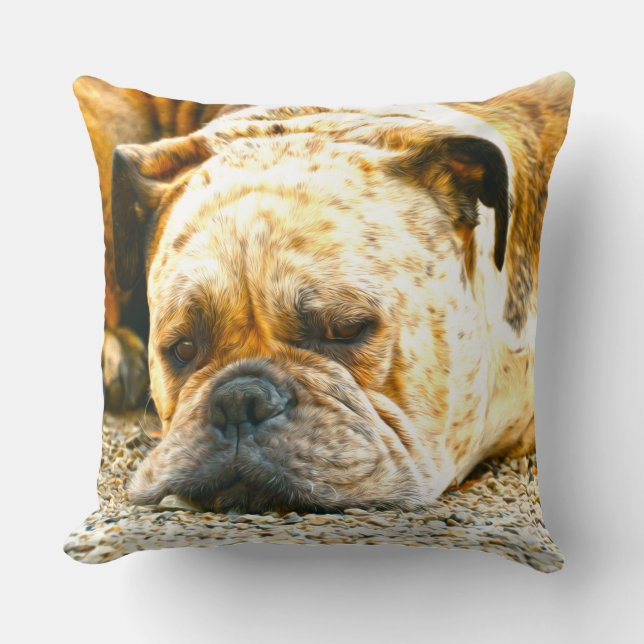 Coussin Boxe Chien Chien Chien Eau Couleur Huile Peinture  (Recto)