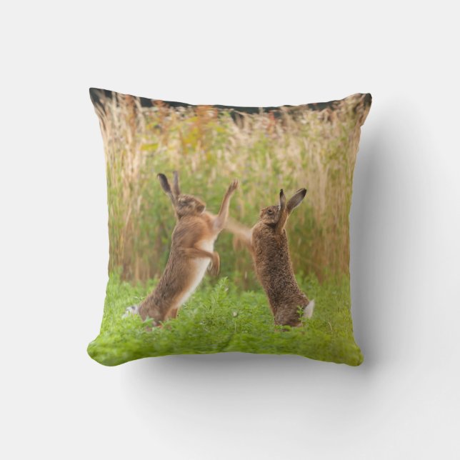 Coussin Boxe et combats de lièvres sauvages à Norfolk (Roy (Recto)