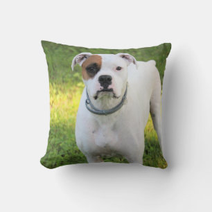 Coussin Boxer