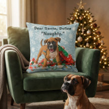 Boxer drôle de Noël