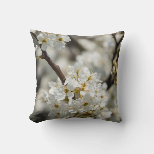 Coussin Bradford Select Focus (Recto)