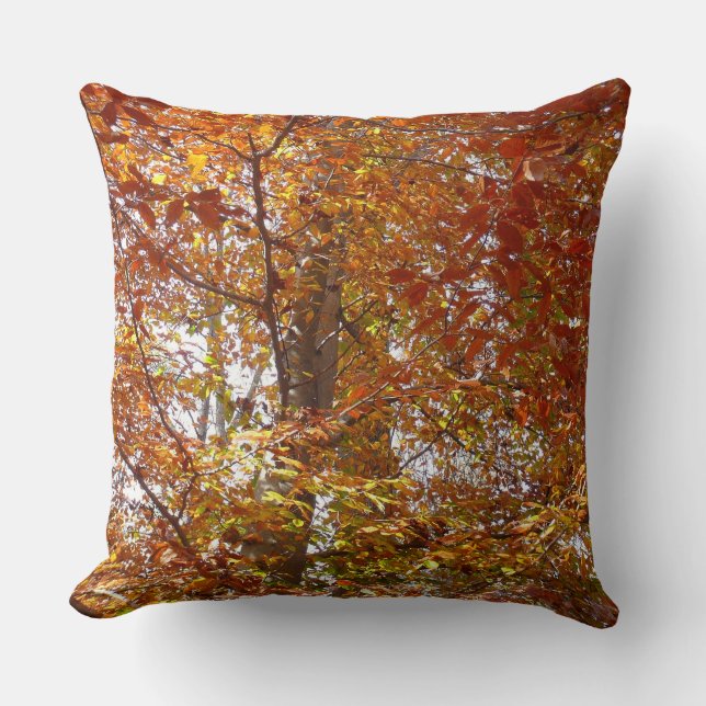 Coussin Branches de la nature d'automne Feuille orange (Recto)