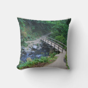 Coussin Bridge at Latourell Falls, Oregon