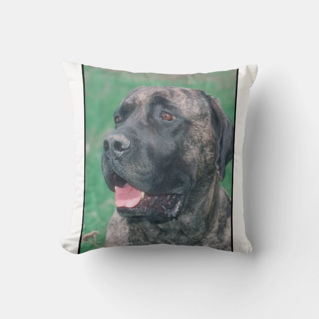 Coussin Brindle de mastiff (Recto)