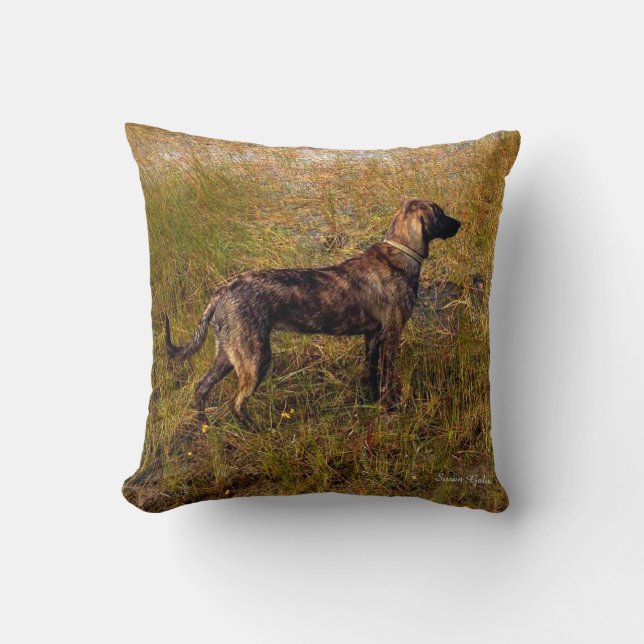 Coussin Brindle Plott Hound in Marsh Thaillow Pillow (Recto)