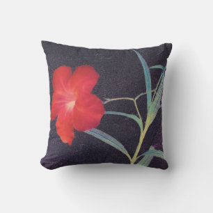 Coussin Brise rouge rustique