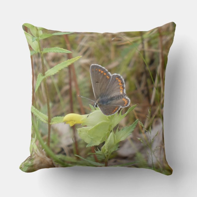 Coussin Brown Argus Butterfly Throw Pillow (Recto)