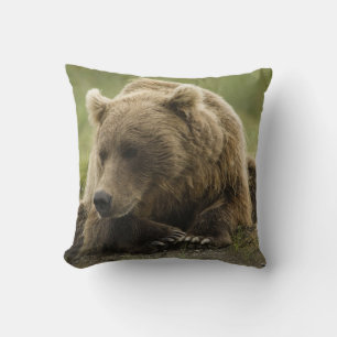 Coussin Brown bear ou Coastal Grizzly Bear, Ursus