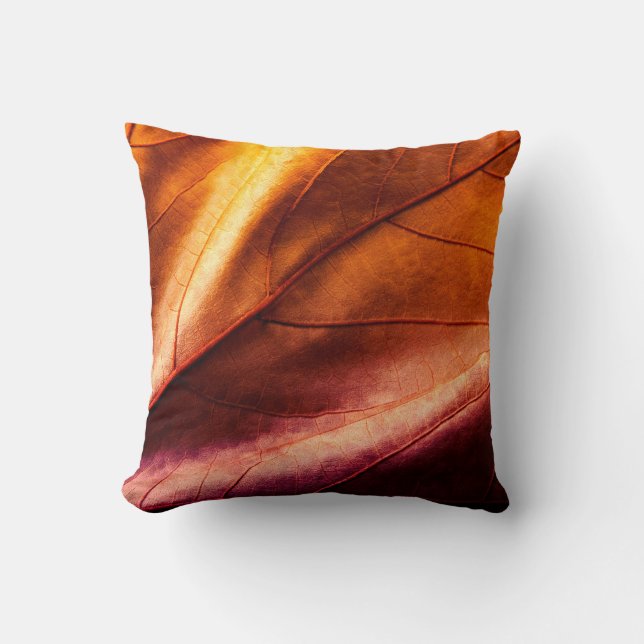 Coussin Brown leather textureleather,abstract,antique,back (Recto)