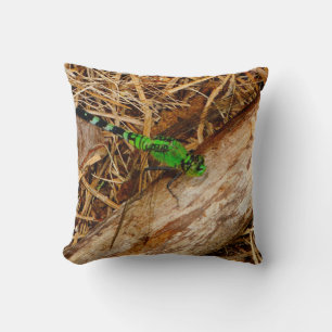 Coussin Brown libellule verte, yeux verts