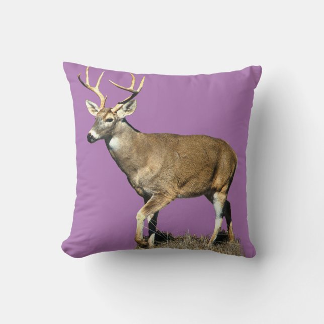 Coussin Buck White Tailed (Recto)