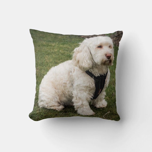 Coussin Buddy (Recto)