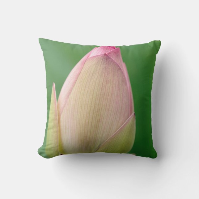 Coussin Bulbe de nénuphar non ouvert, Jardin botanique de  (Recto)