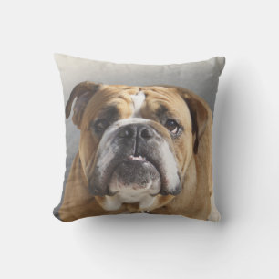 Coussin Bulldog Face - Bulldog anglais, Brown