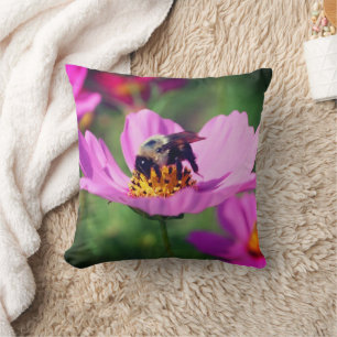 Coussin Bumble Bee On Rose Cosmos Flower Close Up