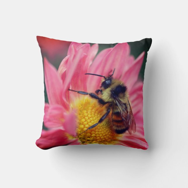 Coussin Bumble Bee On Rose Daisy Flower Close Up (Recto)