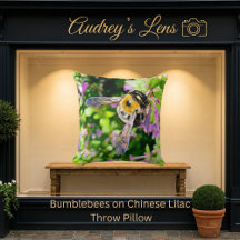 Bumblebees on Chinese Lilac