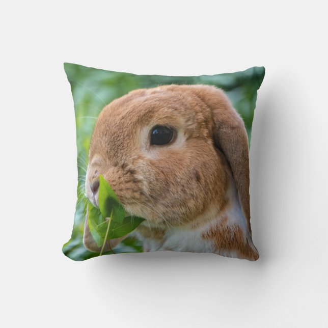 Coussin Bunny de Mini Lop (Recto)