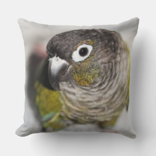 Coussin Burbel