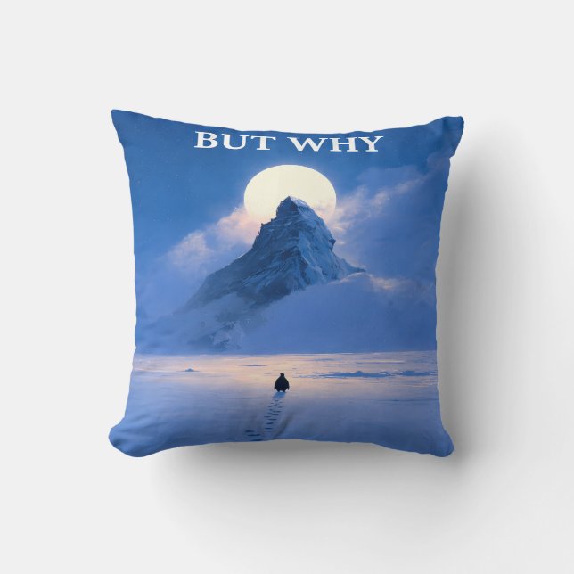 Coussin But Why Throw Pillow Minimal Quote Aesthetic (Recto)