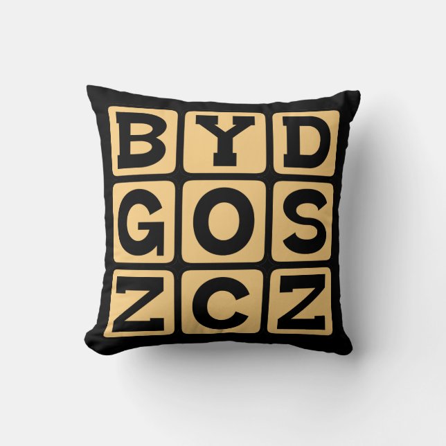 Coussin Bydgoszcz, ville de Pologne (Recto)