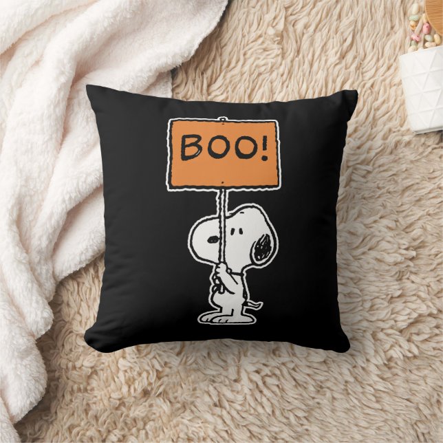 Coussin cacahuètes | Snoopy Boo ! (Couverture)