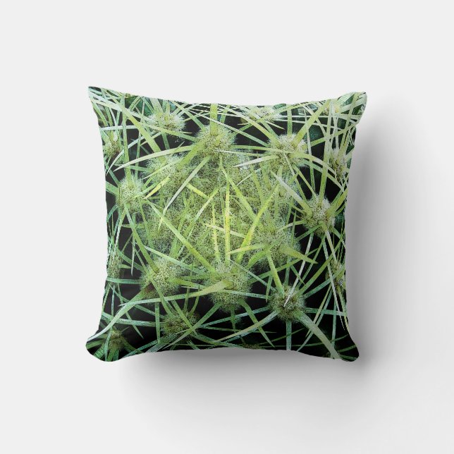 Coussin Cactus (Recto)