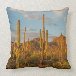Coussin Cactus du Saguaro au coucher du soleil, Arizona