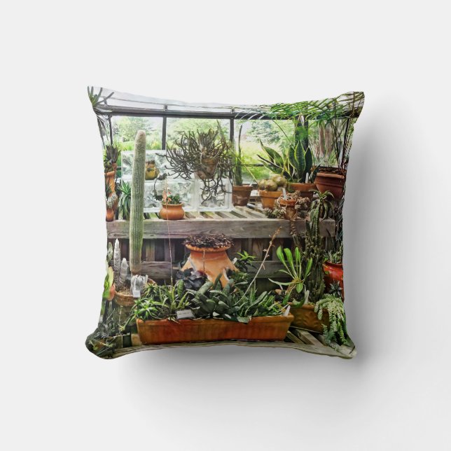 Coussin Cactus en serre (Recto)