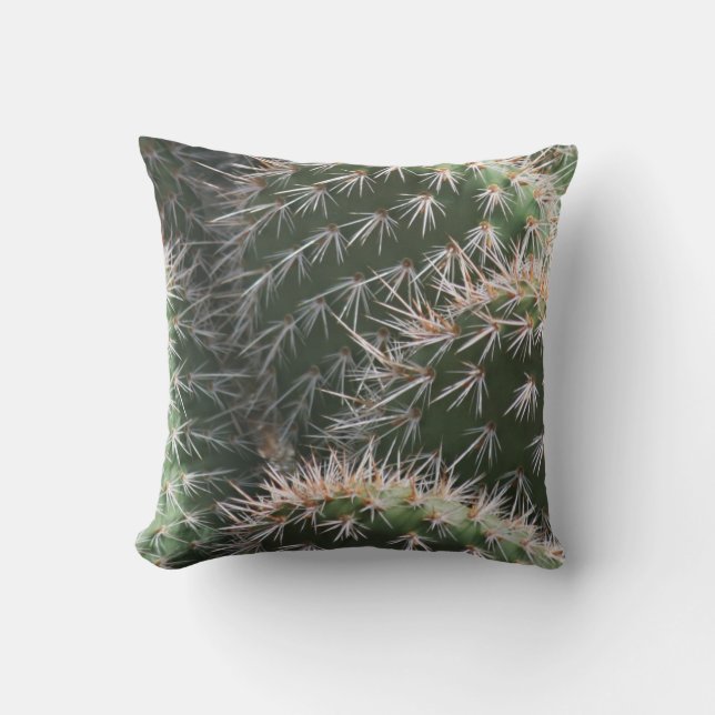 Coussin Cactus et épines de désert (Recto)