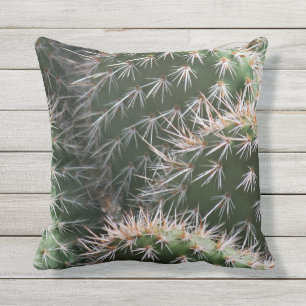 Coussin Cactus et épines de désert