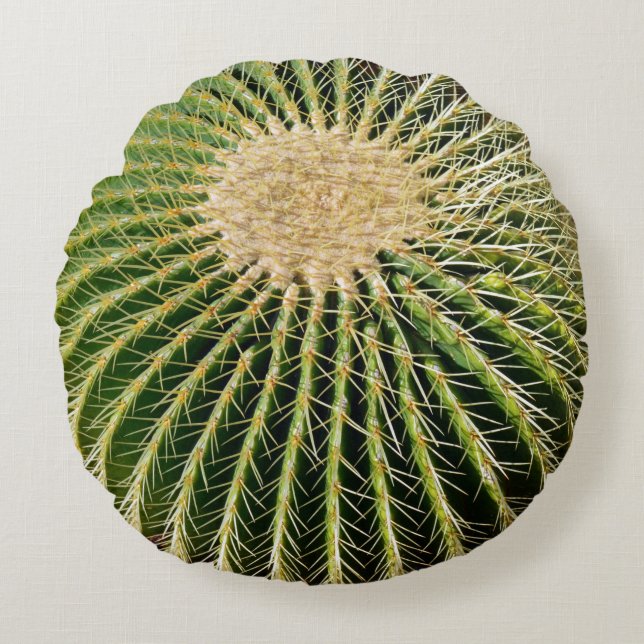 Coussin Cactus Look Spikey (Devant)