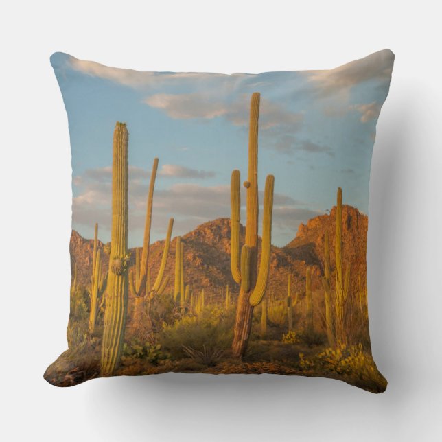 Coussin Cactus saguaro au coucher du soleil, Arizona (Recto)