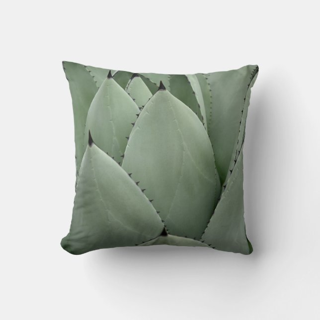 Coussin Cactus vert (Recto)