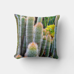 Coussin Cactus vert flou succulent photo simple moderne