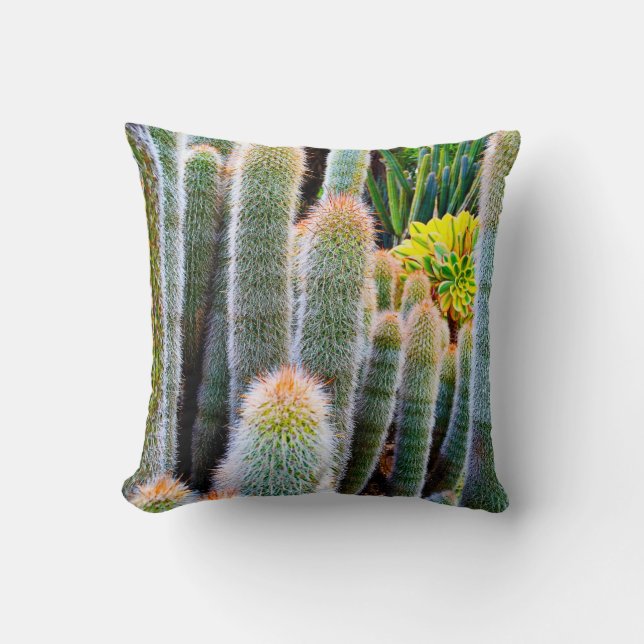 Coussin Cactus vert flou succulent photo simple moderne (Recto)