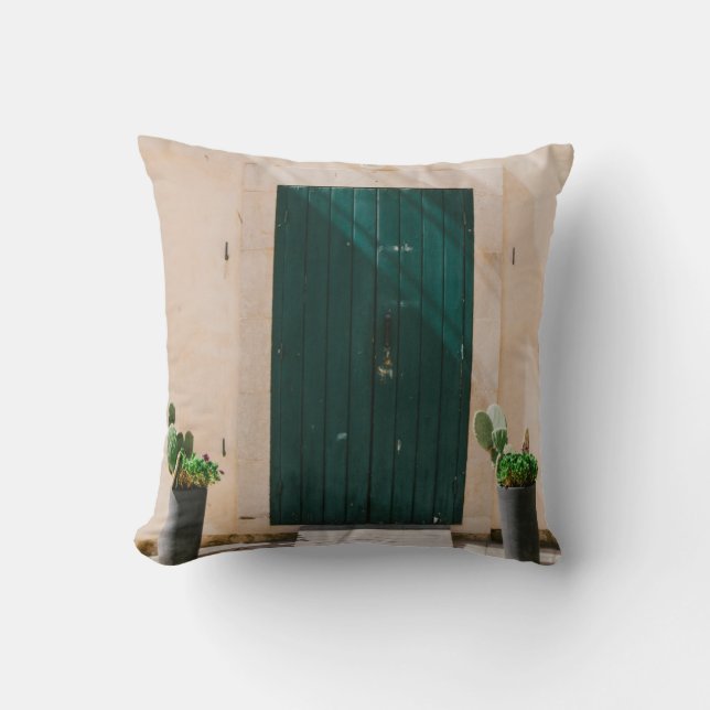 COUSSIN CACTUS VERT PLANTE PRÈS DE PORTE VERTE (Recto)