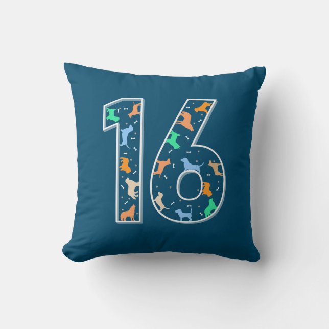 Coussin Cadeau d'anniversaire | 16e anniversaire avec chie (Recto)