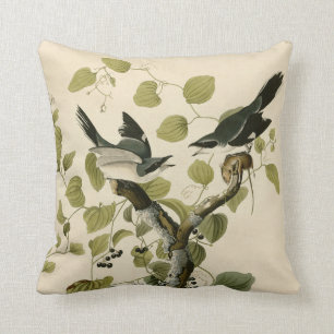 Coussin Cadeau vintage Audubon Loggerhead Shrike Painting 