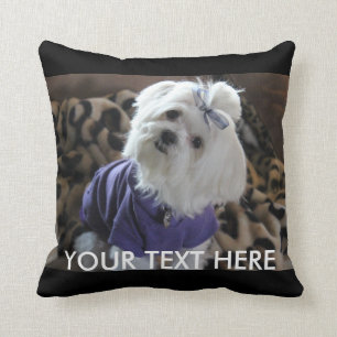 Coussin Cadeaux maltais
